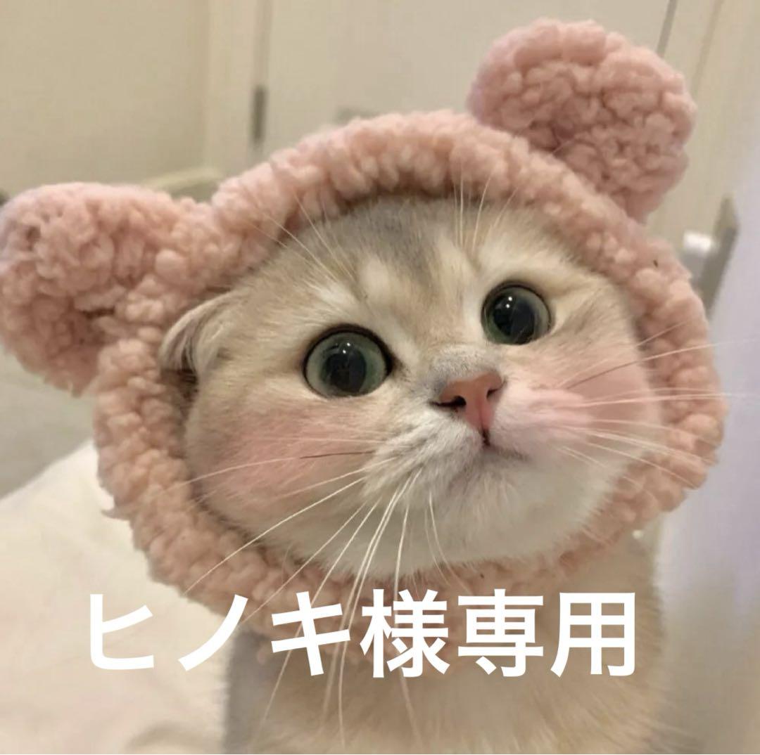 ヒノキ様専用 画像1