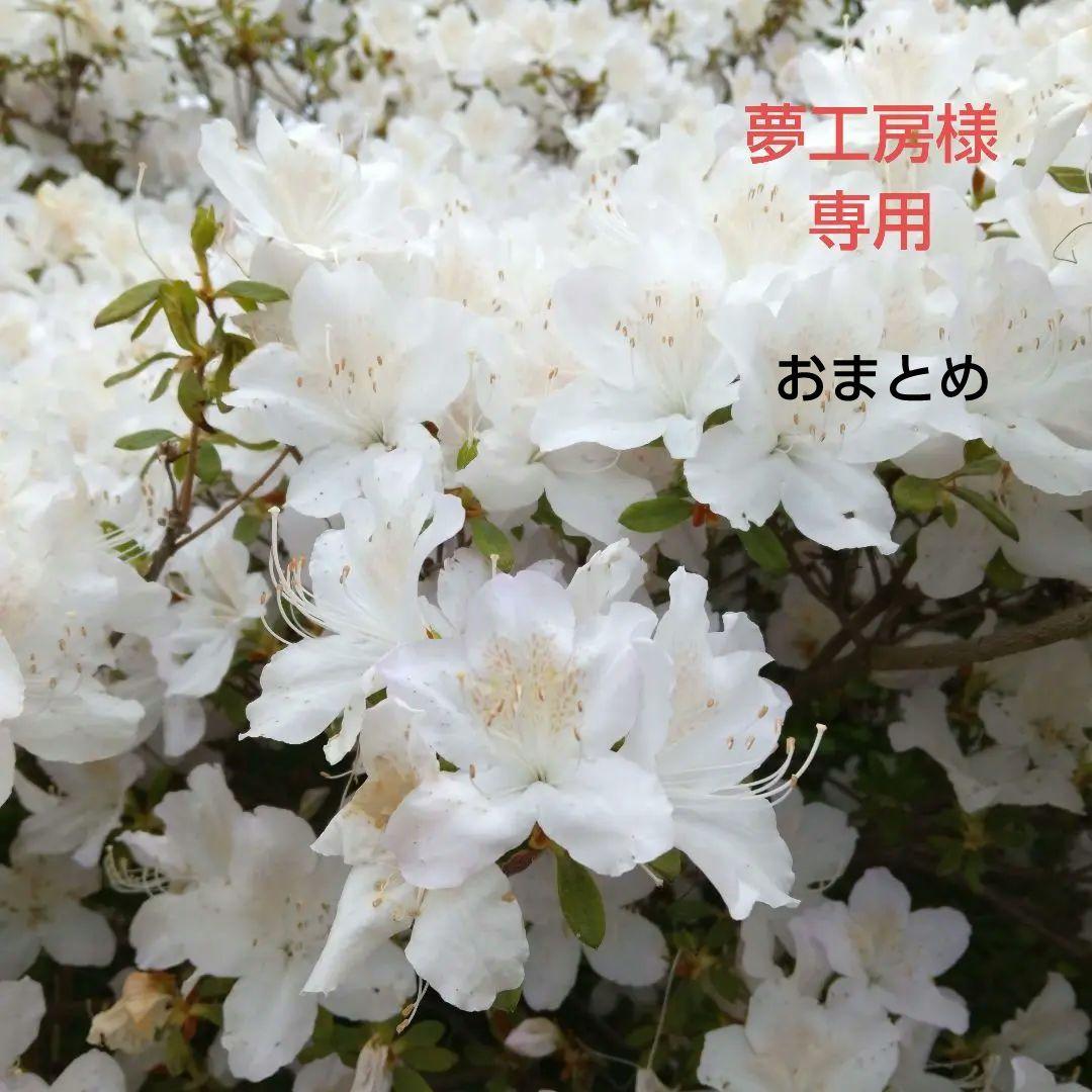 夢工房 布バスケット ・小物入れ ペン立て ☆おまとめ☆