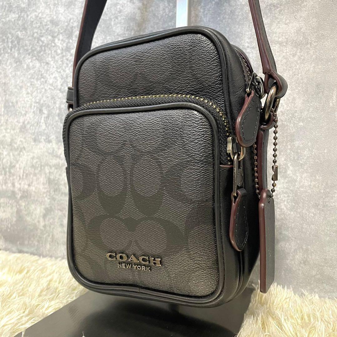 【未使用級】コーチ COACH ショルダーバッグ レザー PVC グレー