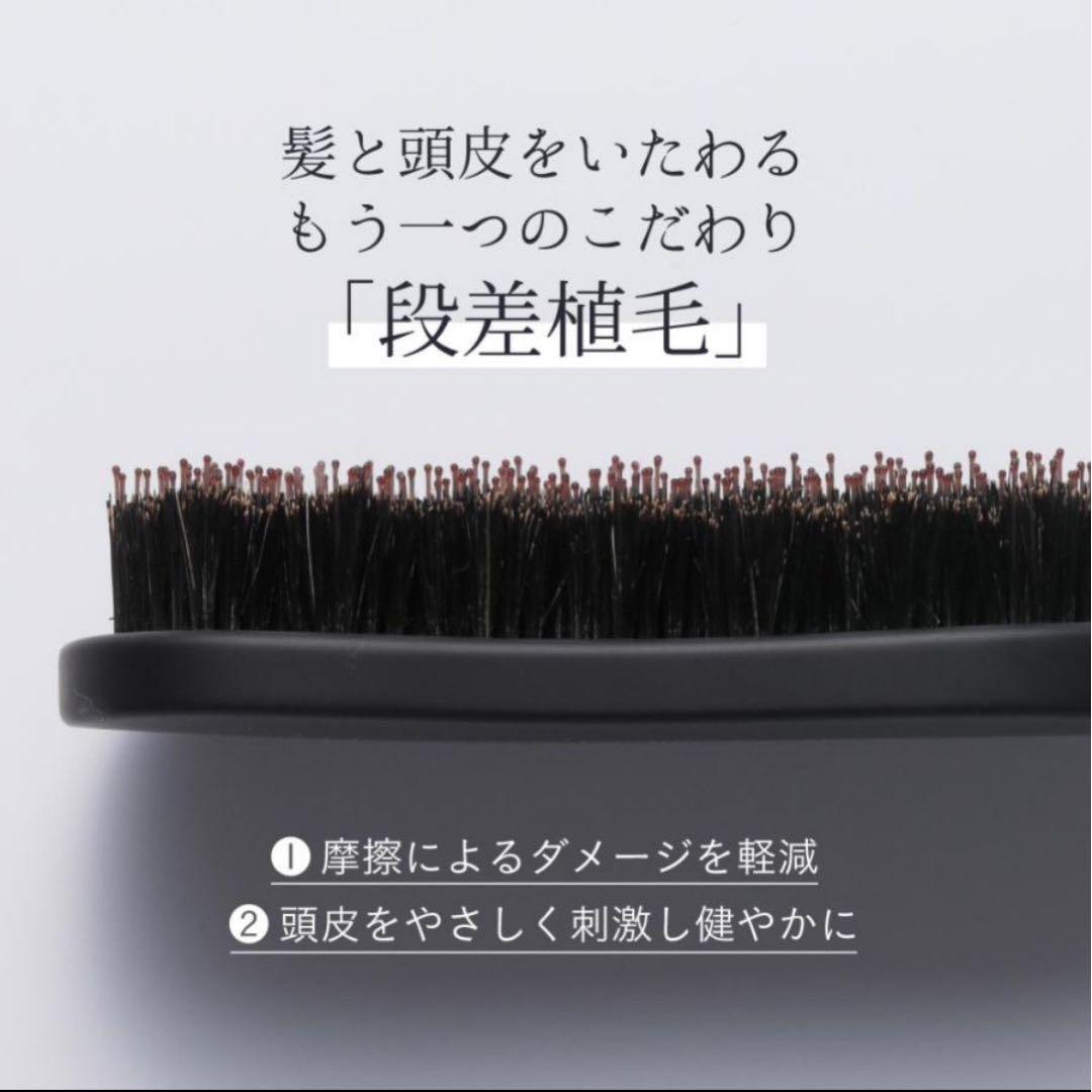 strainia JAPAN   箱無し   お手入れブラシ付き
