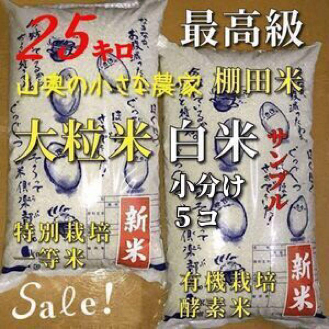 新米　棚田　幻のハイブリッド　大粒　酵素米　お米  玄米25Kg「標準白米に精米
