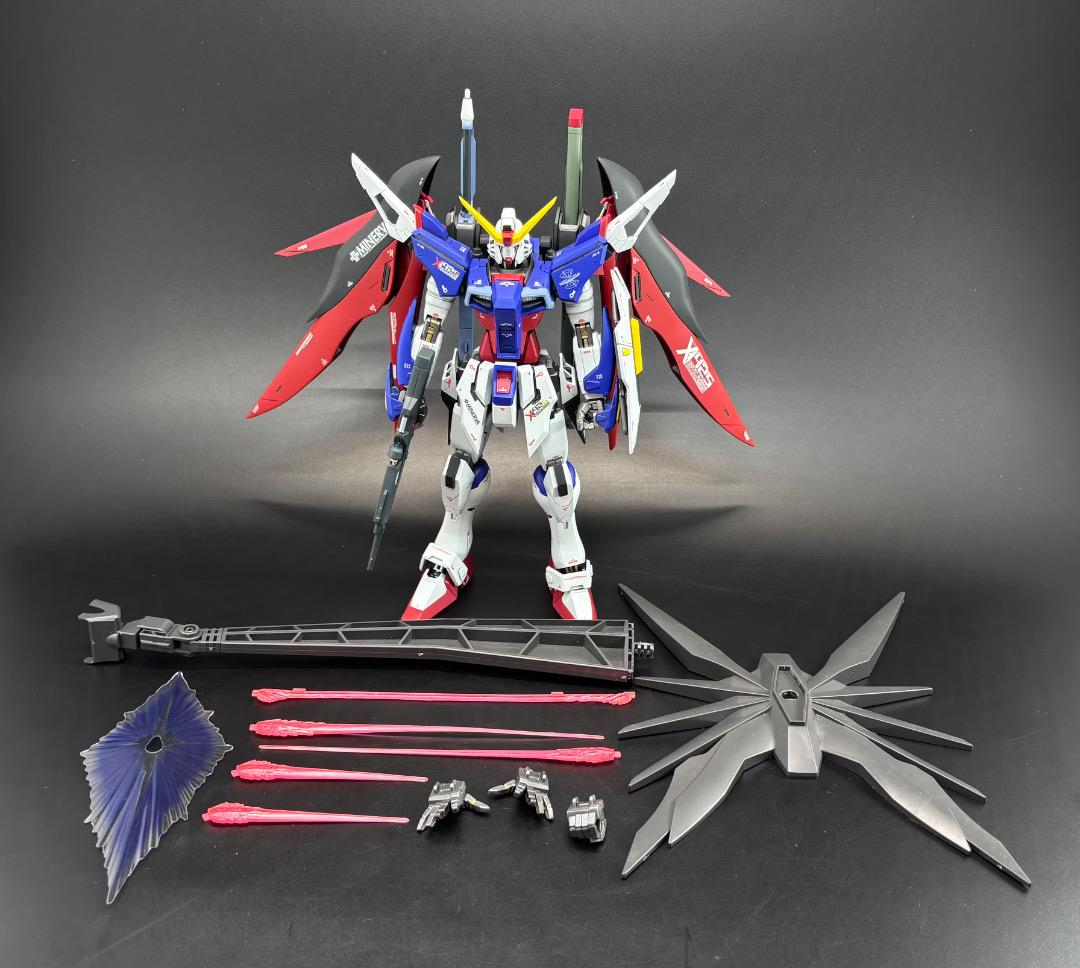 全塗装 MG 1|100 デスティニーガンダム