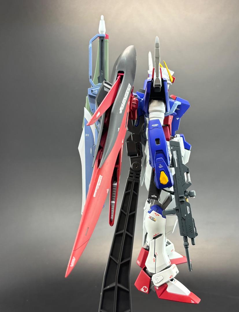 全塗装】MG 1/100 デスティニーガンダム