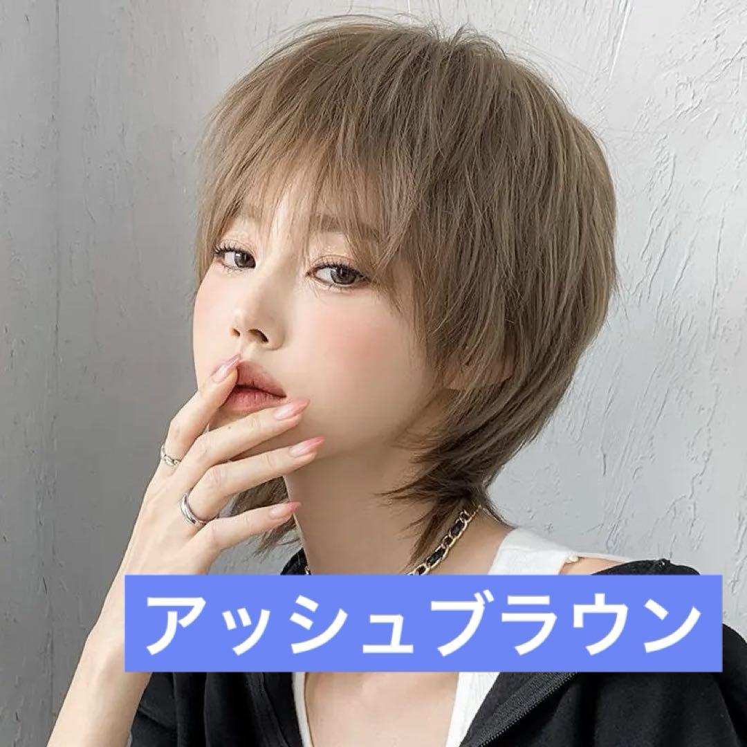 ウイッグ ミセス用 ブラウン系 アッシュ入 ほぼ使用してない 美品 ウイッグ ミセス用 ブラウン系 アッシュ入 ほぼ使用してない 美品