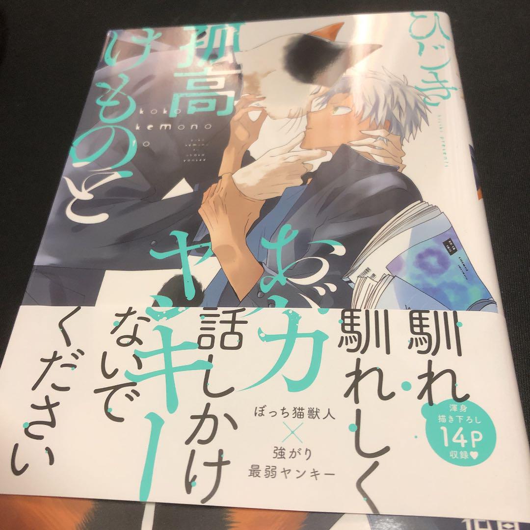 Blコミック マンガ 孤高のけものとおバカヤンキー 送料無料 当日発送可能