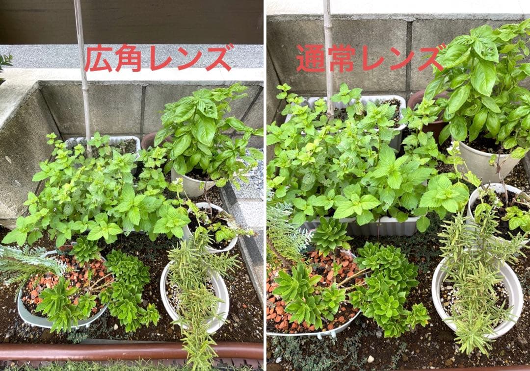 ホワイト 画面ひび割れ