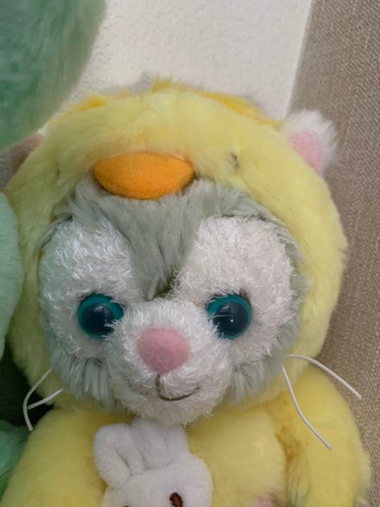 無条件!特別価格 香港ディズニーランド 香港ディズニー限定 pci.org