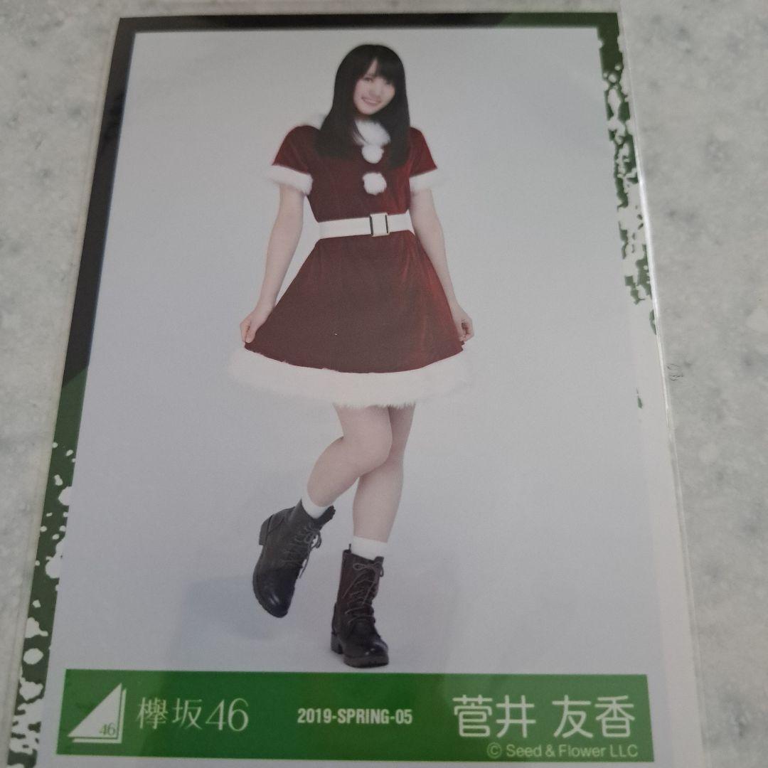 櫻坂46 菅井友香 生写真 セミコンプ 欅坂46 - メルカリ