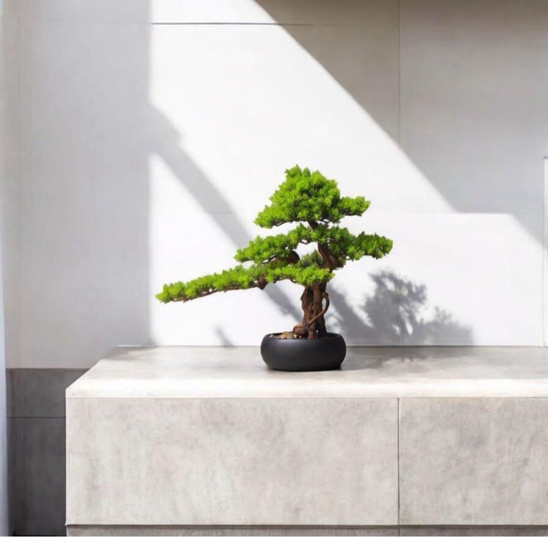 幅50cmフェイク盆栽 盆栽 松 人工盆栽 フェイクグリーン 造花 高品質 大