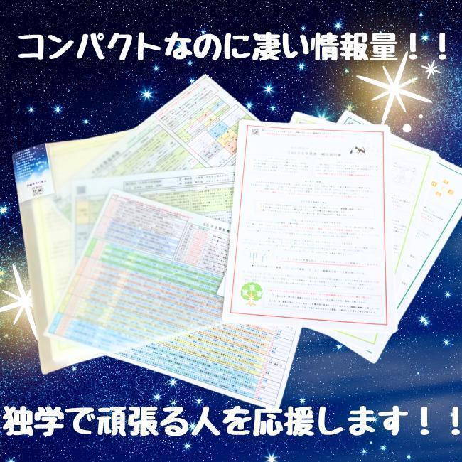 スピさま専用（他の方はリンクからお願い致します）