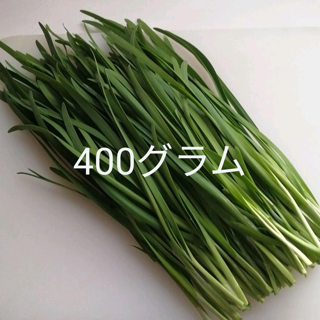 ニラ 400グラム 9ninelives Com ニラ 400グラム 9ninelives Com