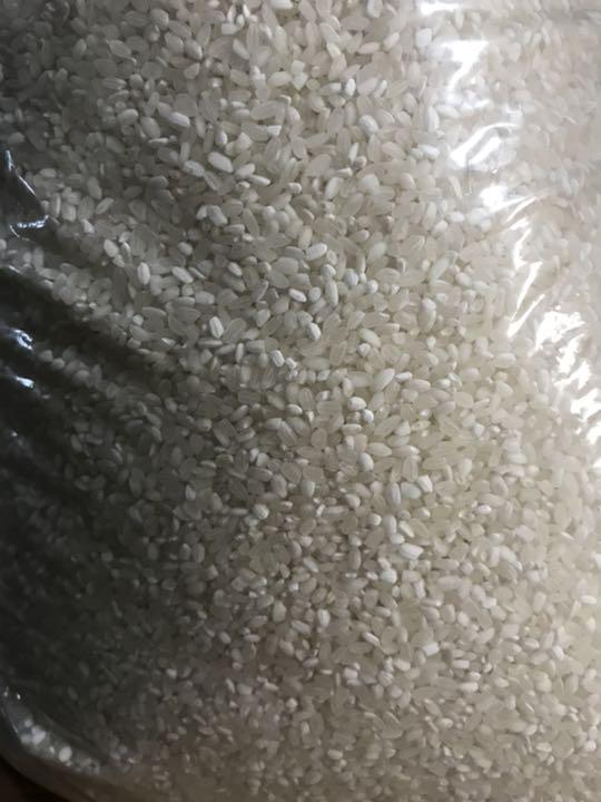 激安 10kg×3袋 送料無料 新米 xoVOw-m52922413715 コスパ米 白米 30kg 定番NEW