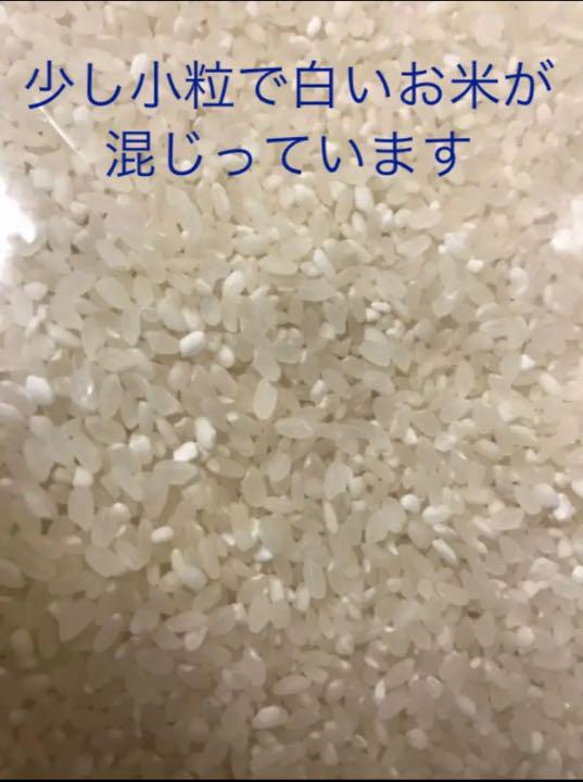 激安 10kg×3袋 送料無料 新米 xoVOw-m52922413715 コスパ米 白米 30kg 定番NEW