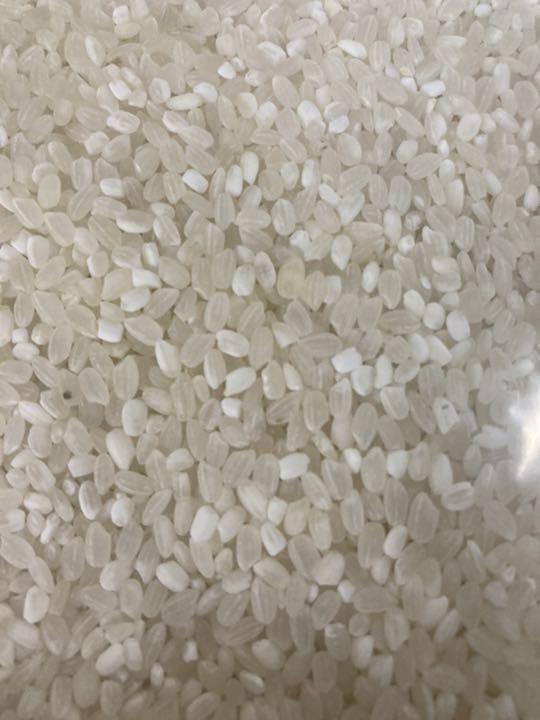 激安 10kg×3袋 送料無料 新米 xoVOw-m52922413715 コスパ米 白米 30kg 定番NEW