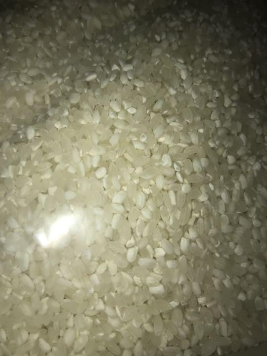 激安 10kg×3袋 送料無料 新米 xoVOw-m52922413715 コスパ米 白米 30kg 定番NEW