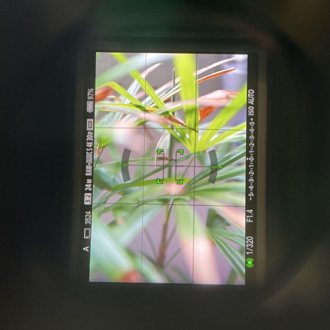 SONY α6500 とレンズ5本