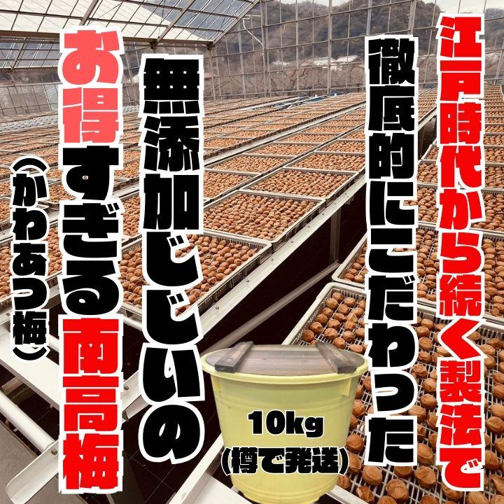 人気爆発！紀州南高梅 樽 10kg かわあつ梅 無添加 和歌山 紀州 白梅
