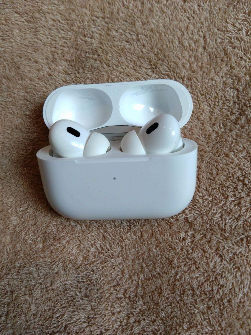 AirPods Pro 本体と充電ケース