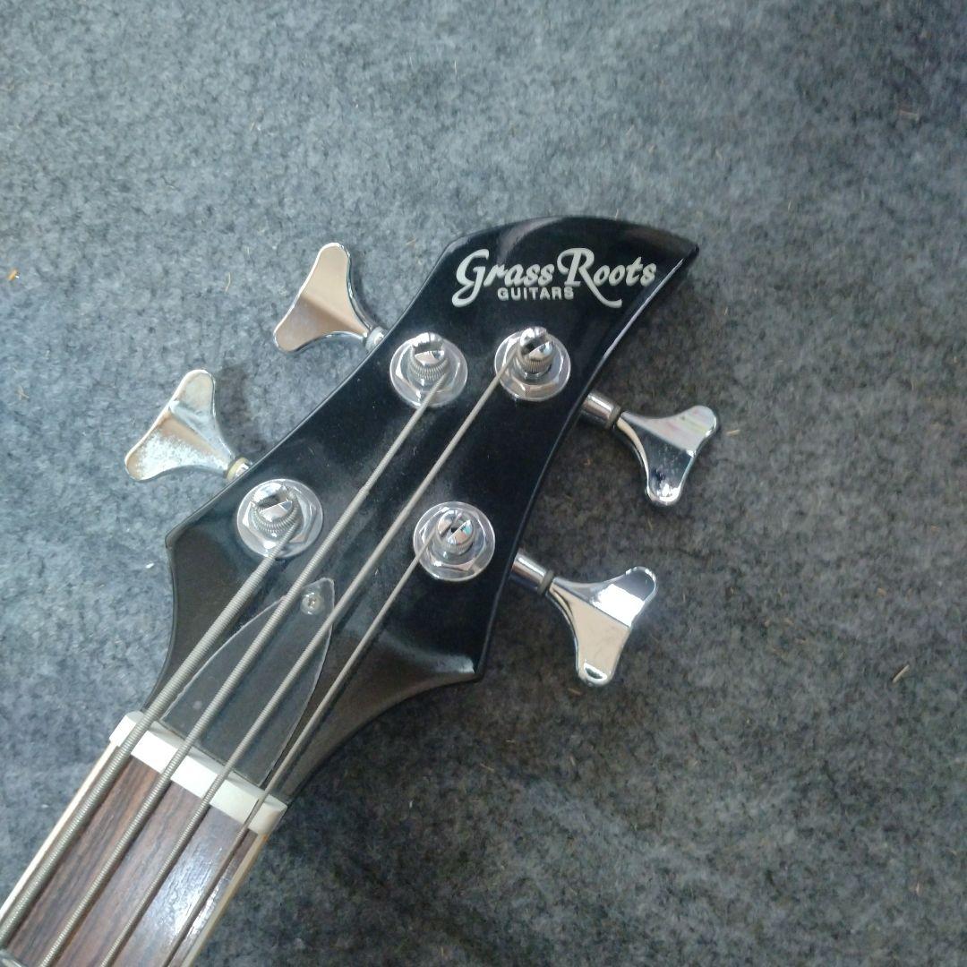 the GazettE REITA GrassRoots エレキベース ケース