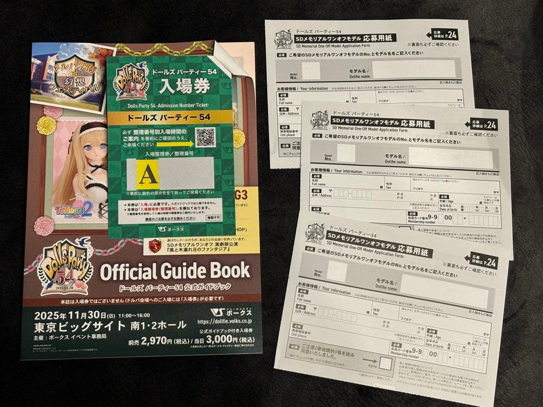 Aグループ ドルパ54 公式ガイドブック 抜き取りなし ワンオフ応募券3枚造形村 / volks