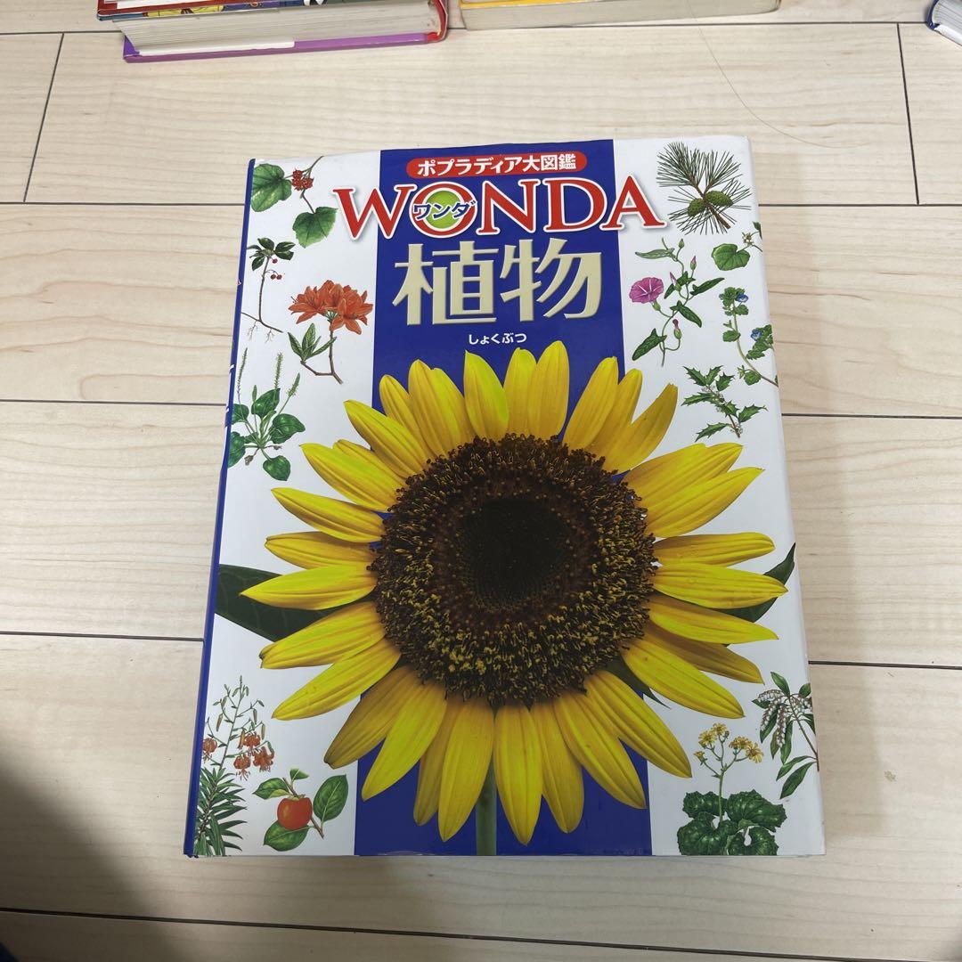 ポプラディア大図鑑WONDA 4 植物 - メルカリ
