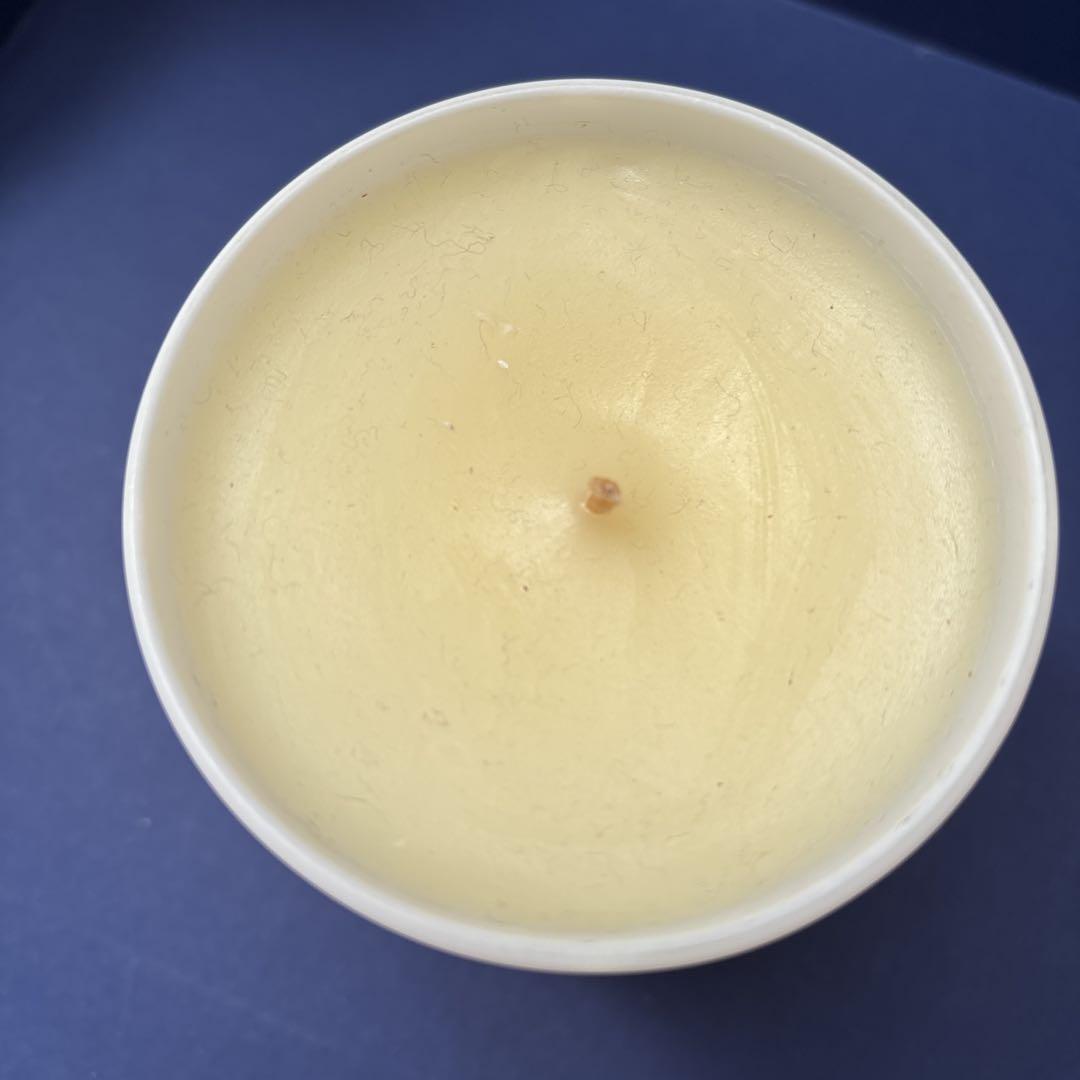 diptyque ×ミナペルホネン INFINI 190g