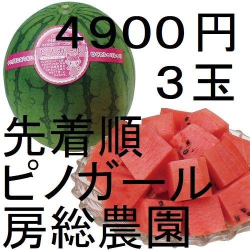 ４９００円・３玉・注文受付中・第３弾・ピノガール「小玉スイカランキング第１位」