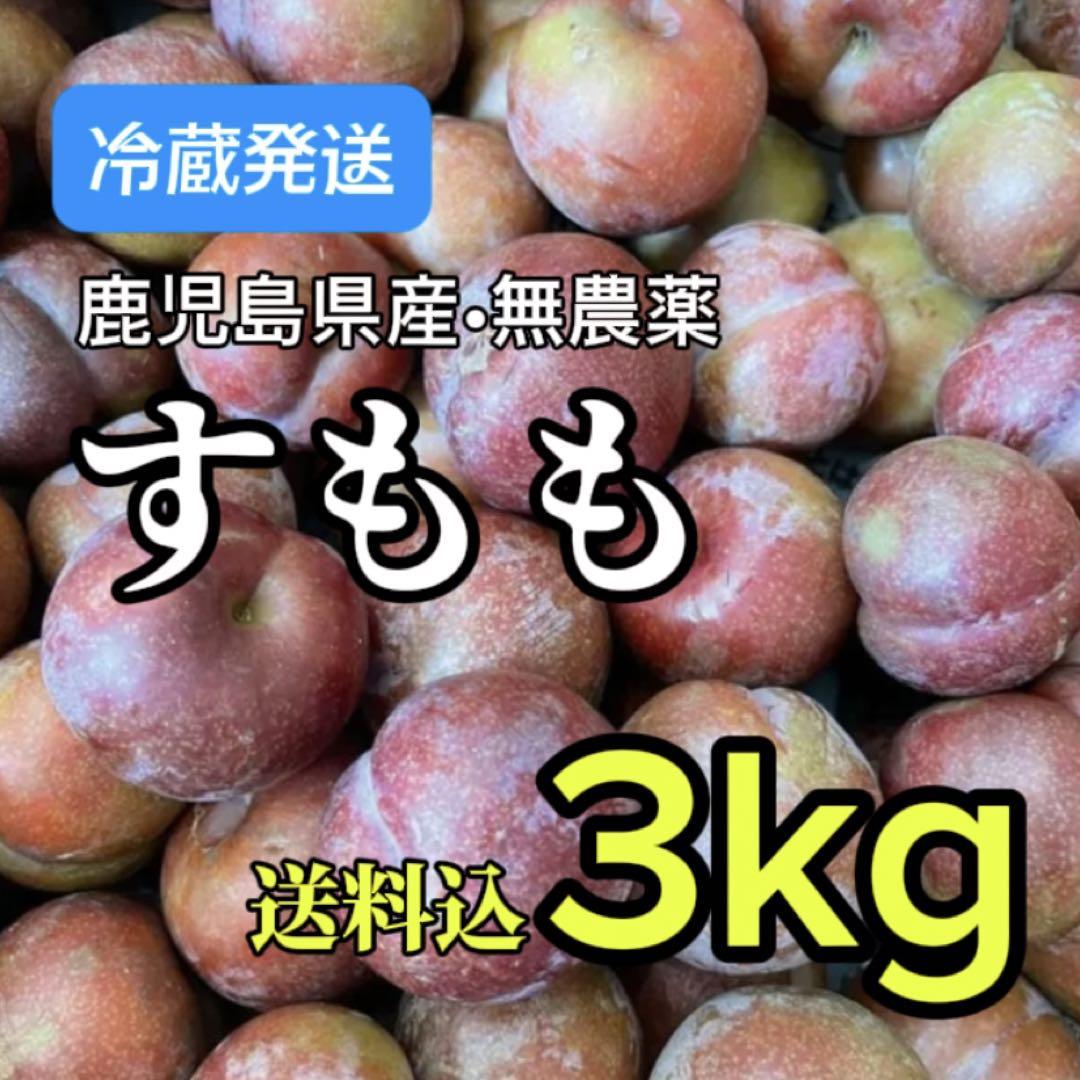 クール便】鹿児島県産すもも3kg 無農薬 ガラリMận Nhật - メルカリ