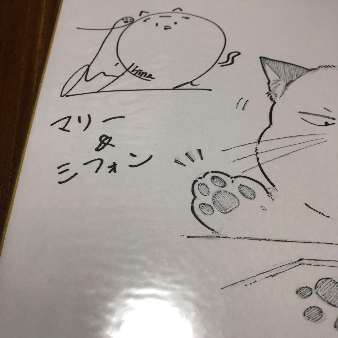 シフォン（マリー）羊宮 妃那さん 直筆サイン入り オオトリ先生