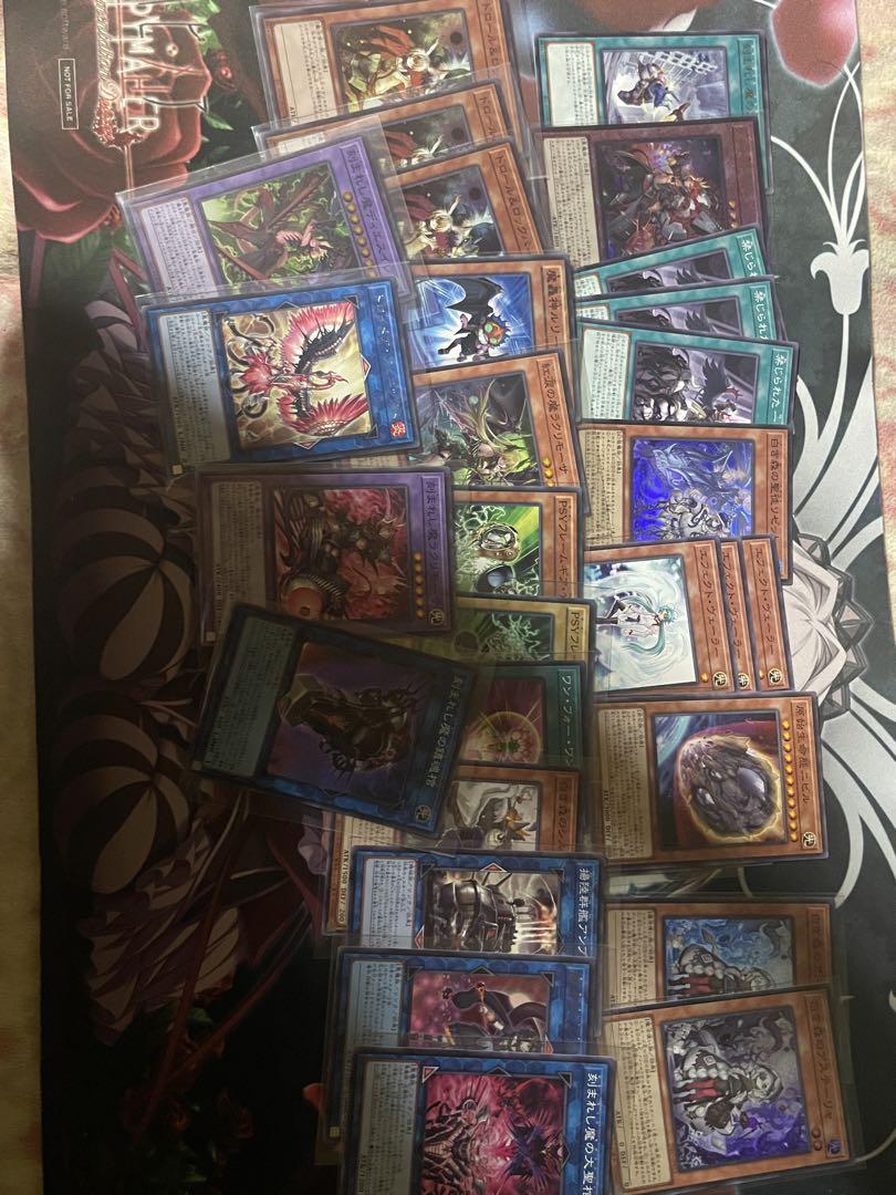 白き森アザミナスネークアイ　遊戯王　デッキ