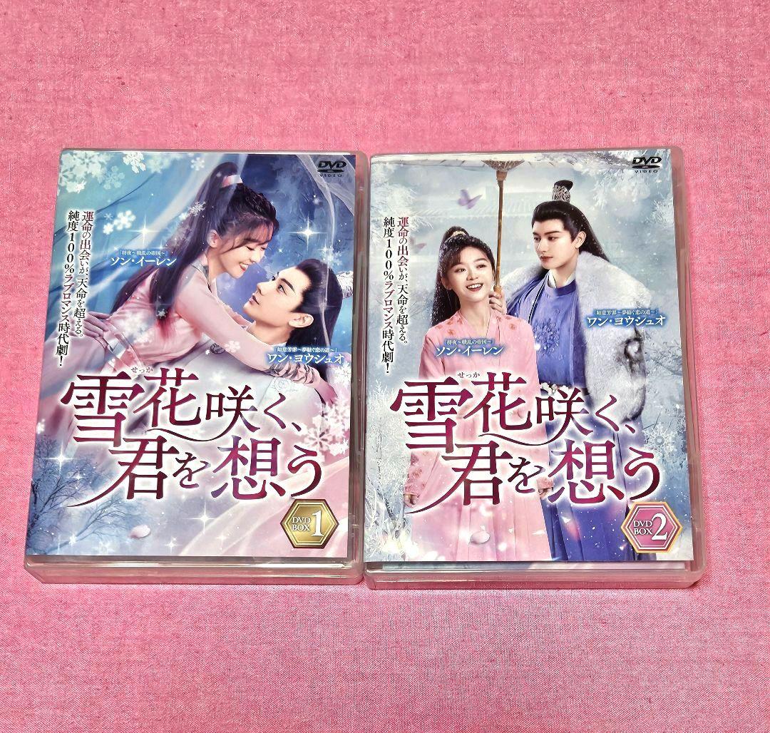 ワン・ヨウシュオ主演⭐【雪花咲く、君を想う】 DVD 1 & 2