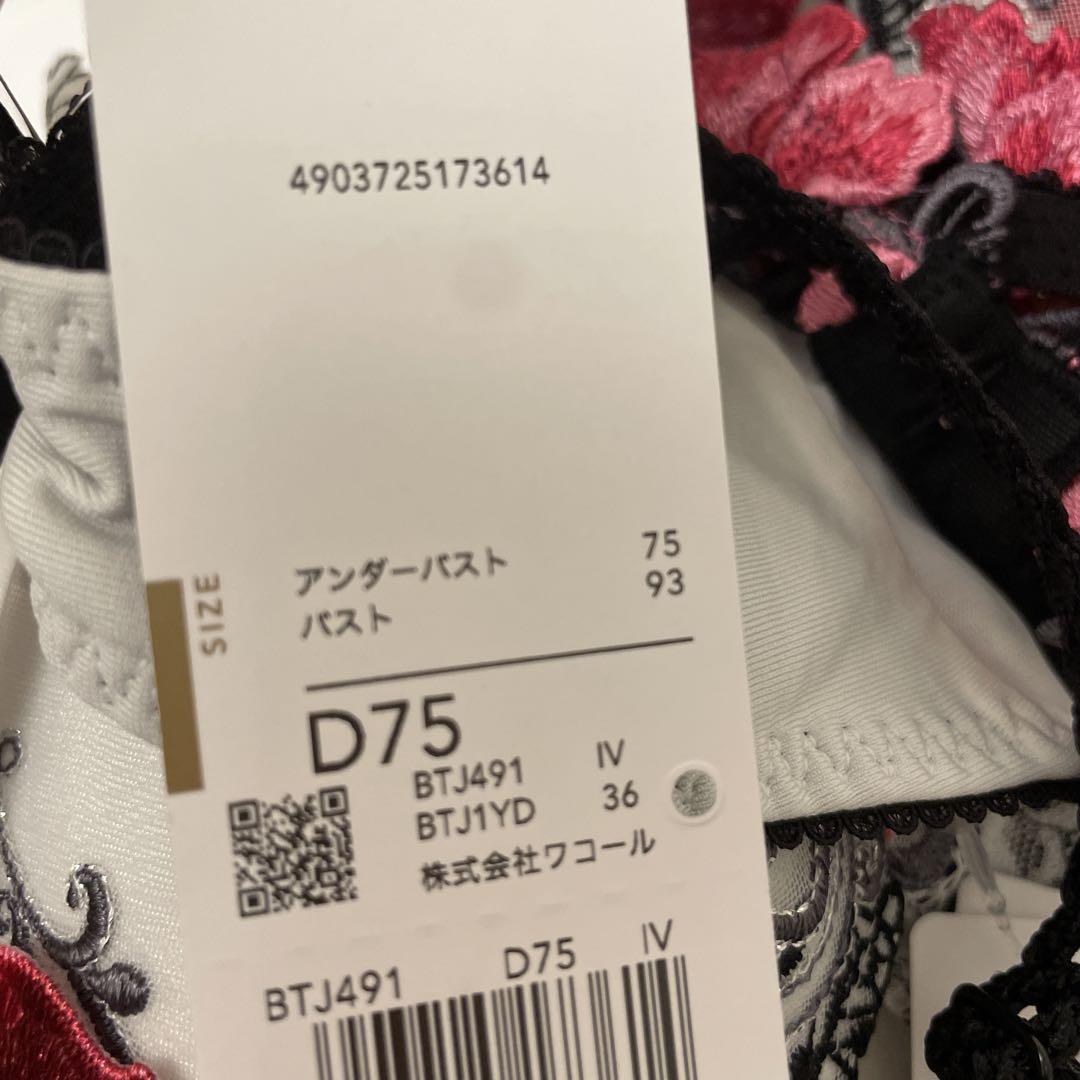 サルート D75/M 3点セット 91G IV