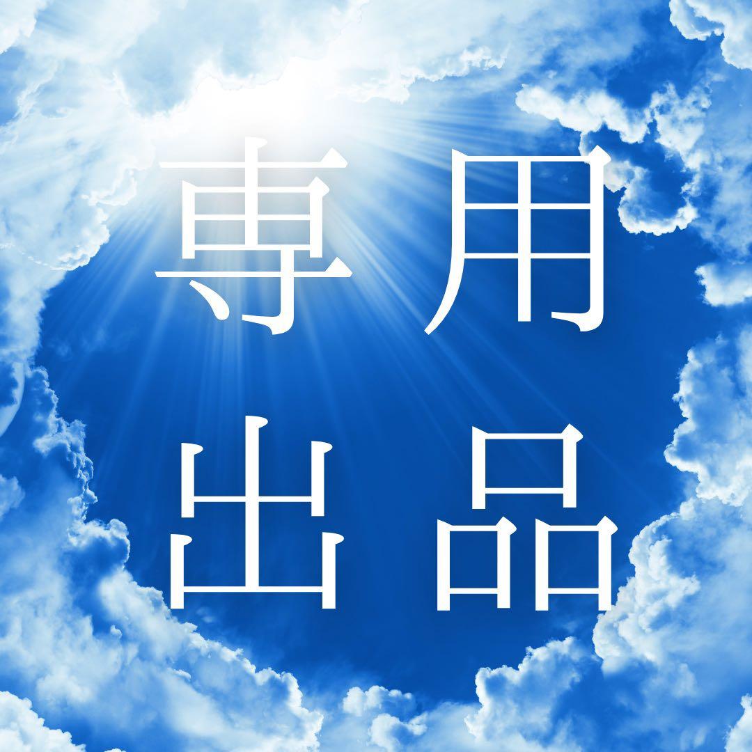専用出品