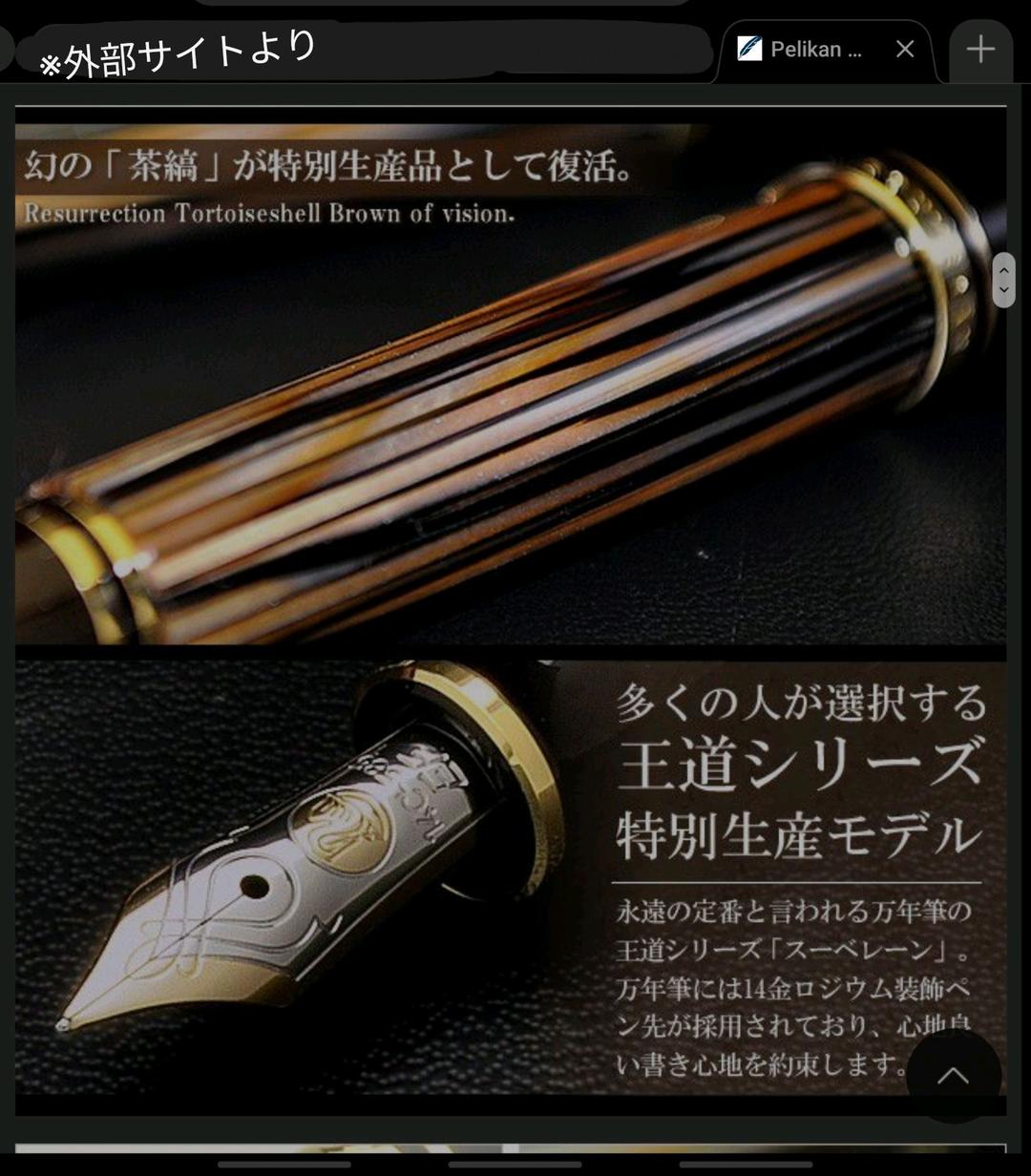 Pelikan ペリカン スーベレーンM400万年筆 茶縞 F 細字