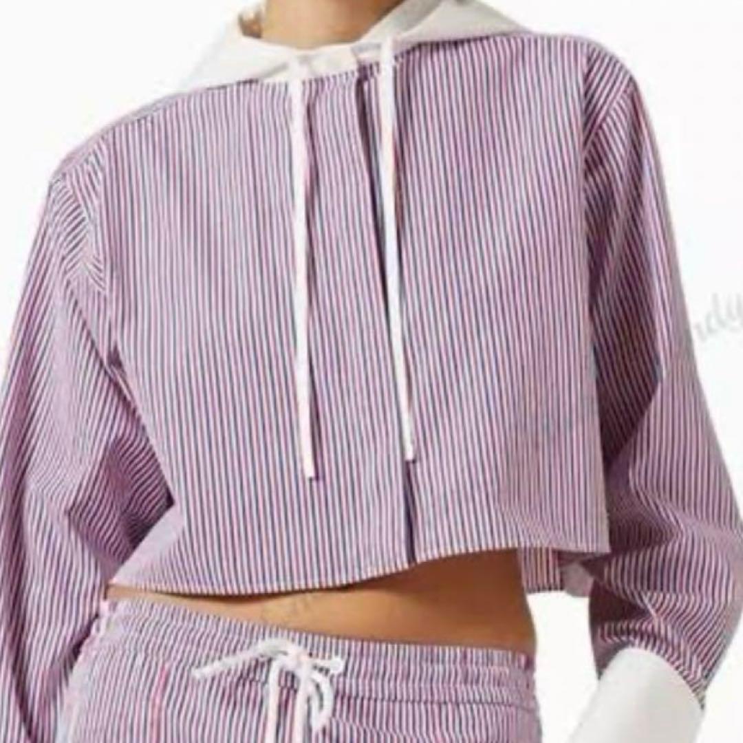 ロエベLOEWE カフス・フード付きストライプ　クロップトシャツ３６未使用に近い ロエベLOEWE カフス・フード付きストライプ クロップトシャツ36未