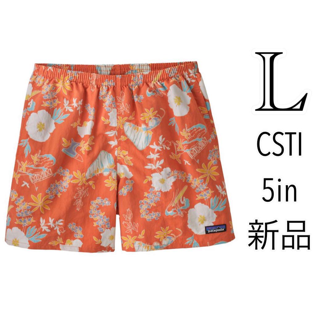 Lサイズ patagonia パタゴニア バギーズショーツ CSTI　SP22