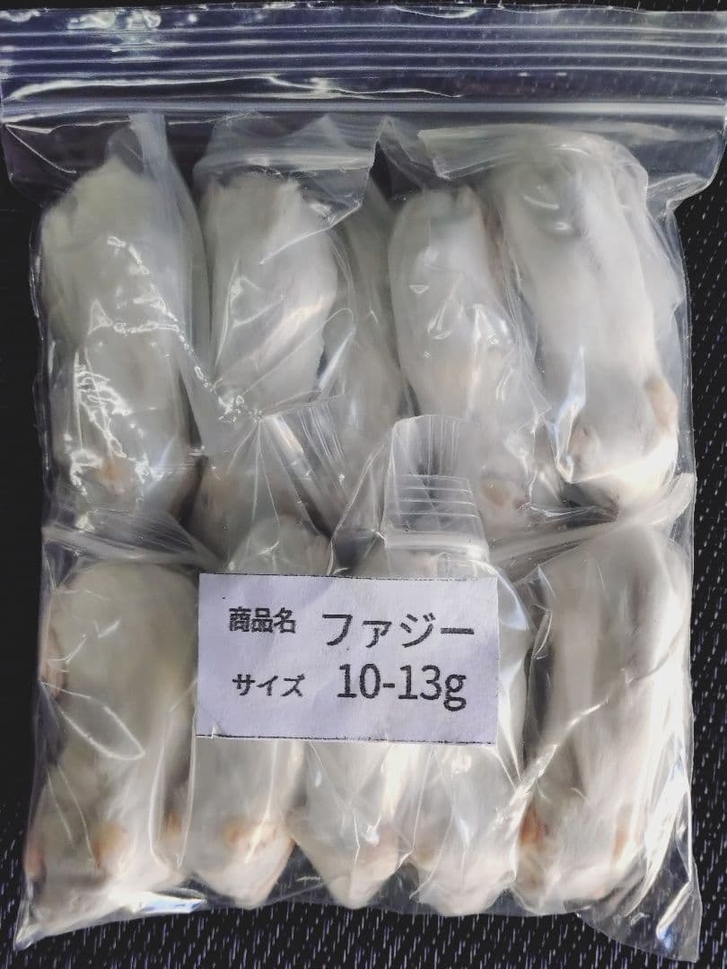 送料無料 冷凍マウスファジー50匹