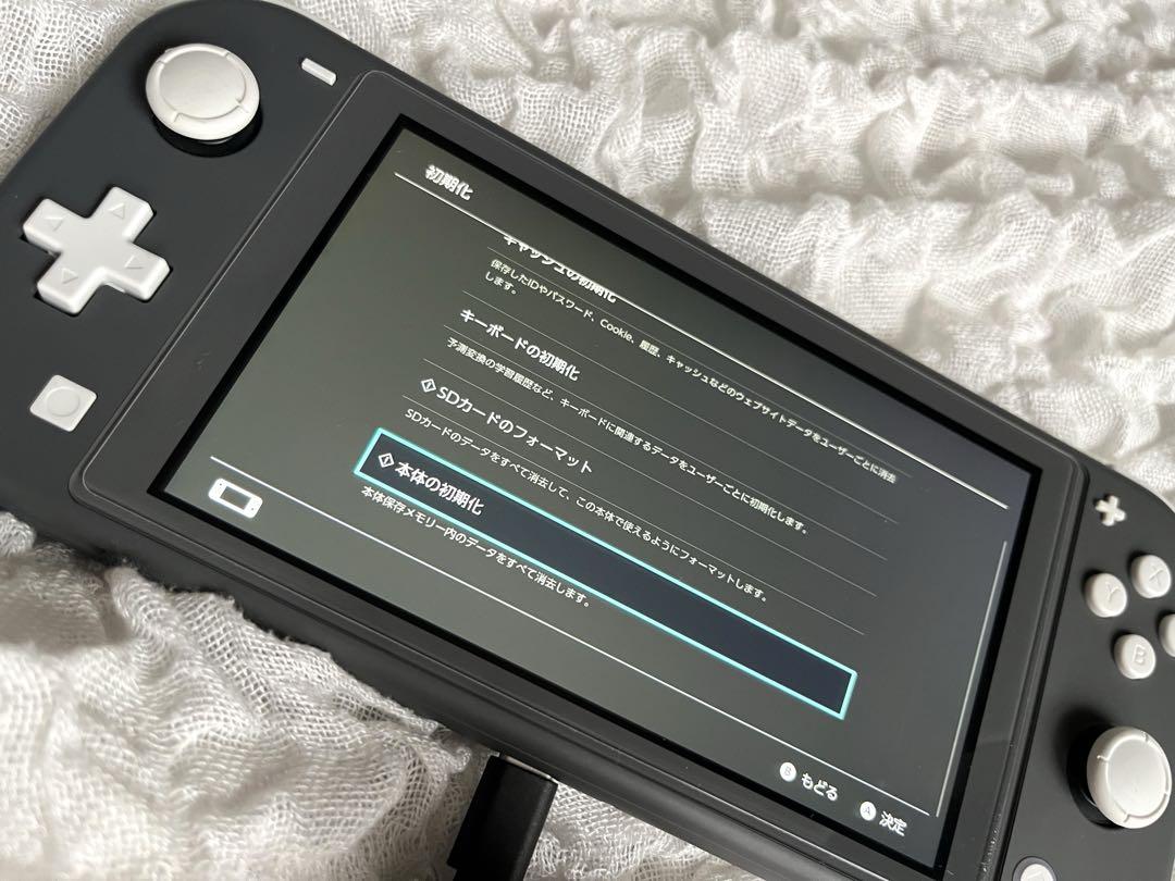 Nintendo Switch Lite グレー ※充電器なし