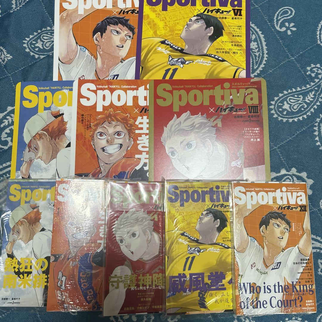 【新品】ハイキュー!! ショーセツバン　日向翔陽　特典　ビジュアルボード　1枚　アニメイト　ハイキュー　烏野