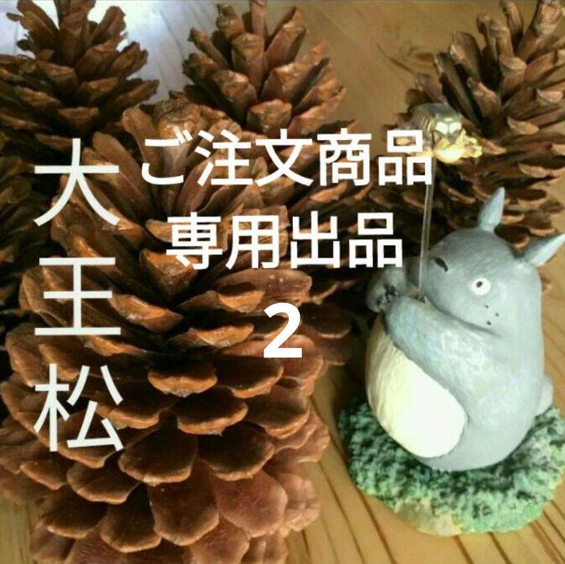 ご注文商品専用出品2