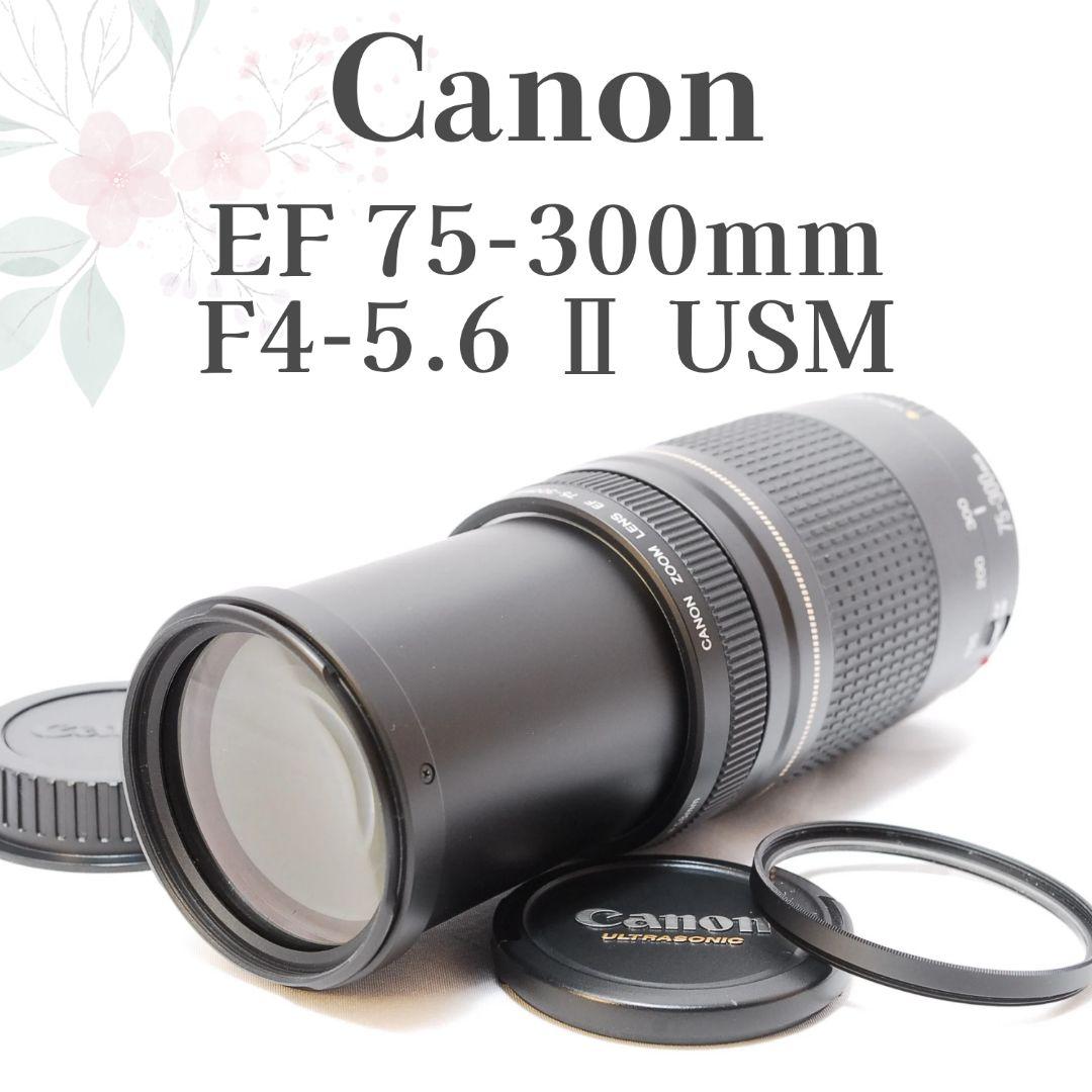 新品級✨超望遠✨Canon EF 75-300mm F4-5.6 Ⅱ USM - メルカリ
