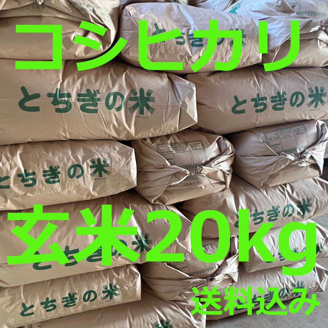 新米 コシヒカリ 玄米20キロ 令和6年産 栃木県産 とちぎの米