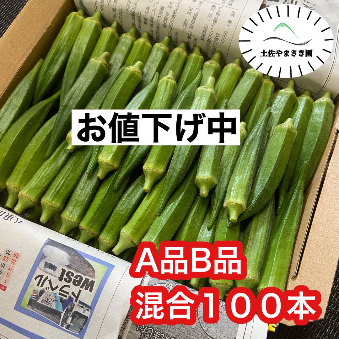 高知県産オクラ 新鮮おくら 即購入OK 産地直送 野菜100njgt