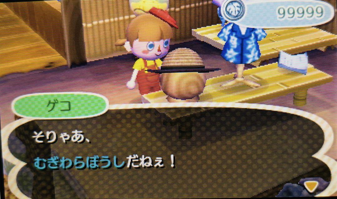 とびだせどうぶつの森 最強やり込みデータ ソフト