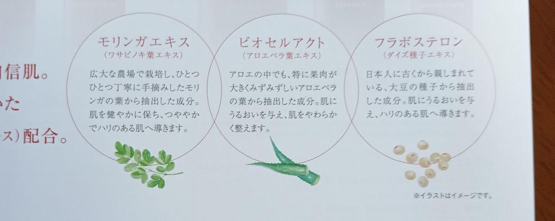 セット 冬を乗り切ろう