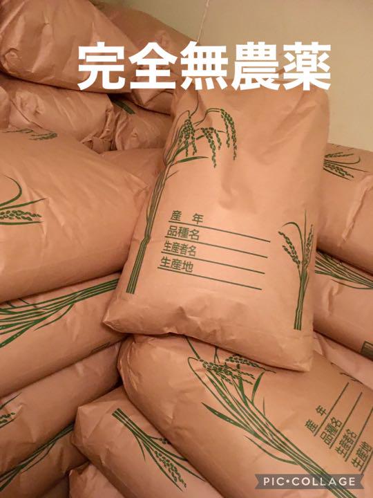 にこまる 10kg×2 ※ 無農薬 玄米 国消国産 農家直送 美容健康