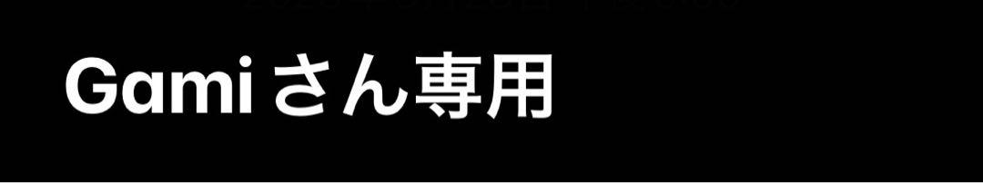 Project comte ネックレス