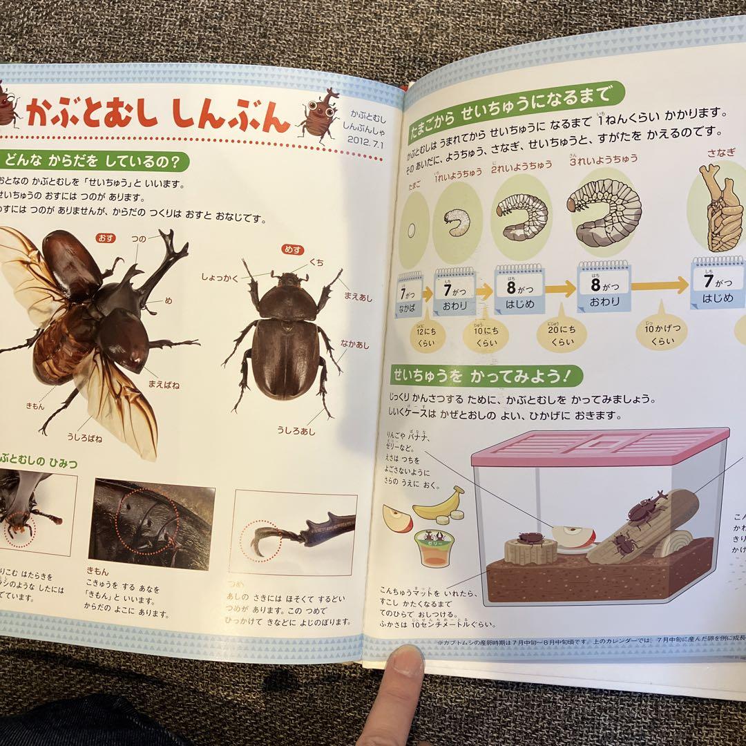 カブトムシ しぜん かぶとむし キンダーブック - メルカリ