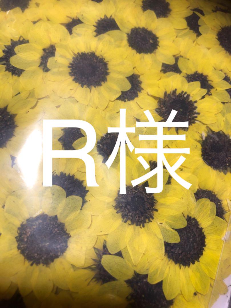 メルカリ R様 ひまわり 押し花 各種パーツ 850 中古や未使用 メルカリ R様 ひまわり 押し花 各種パーツ 850 中古や未使用