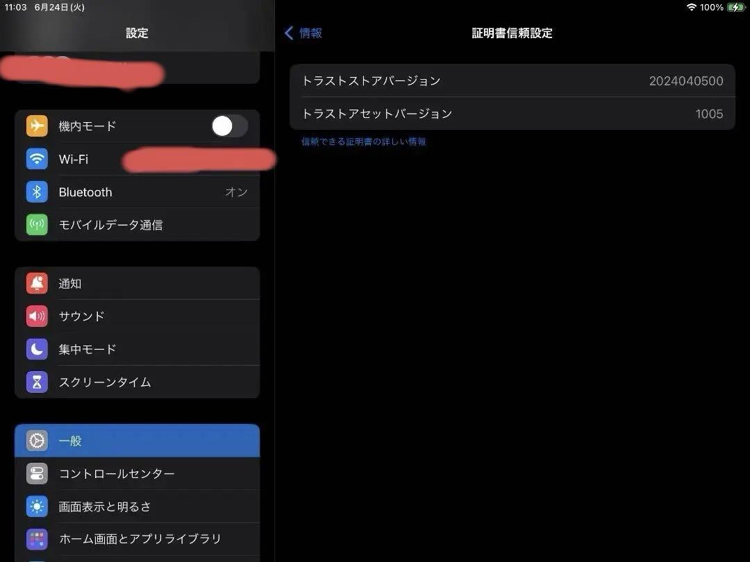 Apple iPad 第6世代 ローズゴールド 128G SIMフリー